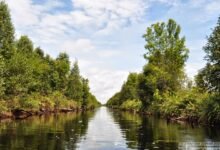 IMG 5759