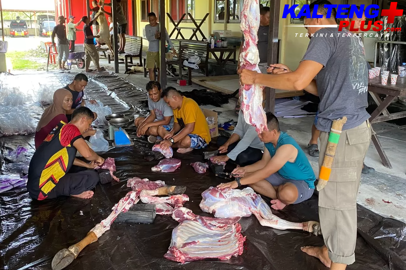 Brimob Kalteng Salurkan Hewan Kurban untuk Warga di Kumai