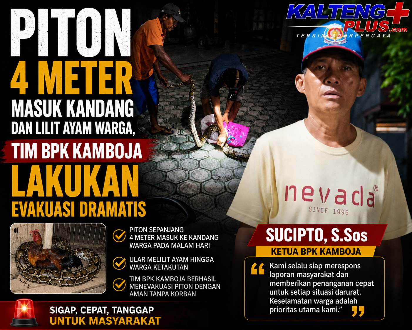 Piton 4 Meter Masuk Kandang dan Lilit Ayam Warga Tim BPK Kamboja Lakukan Evakuasi Dramatis