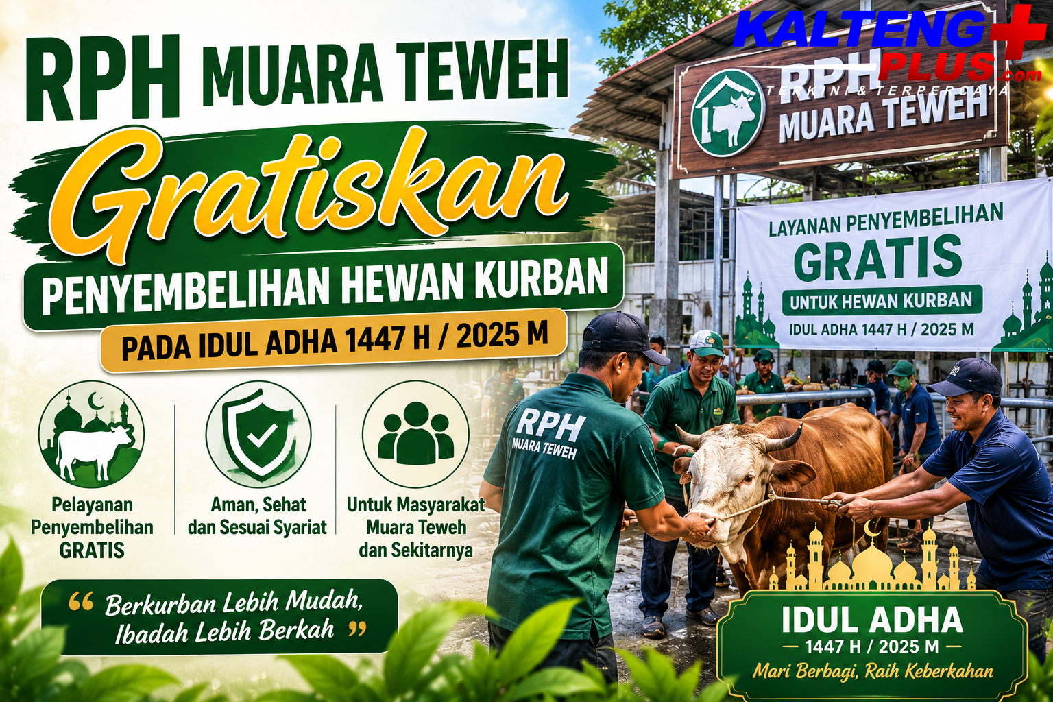 RPH Muara Teweh Gratiskan Penyembelihan Hewan Kurban pada Idul Adha 1447 H