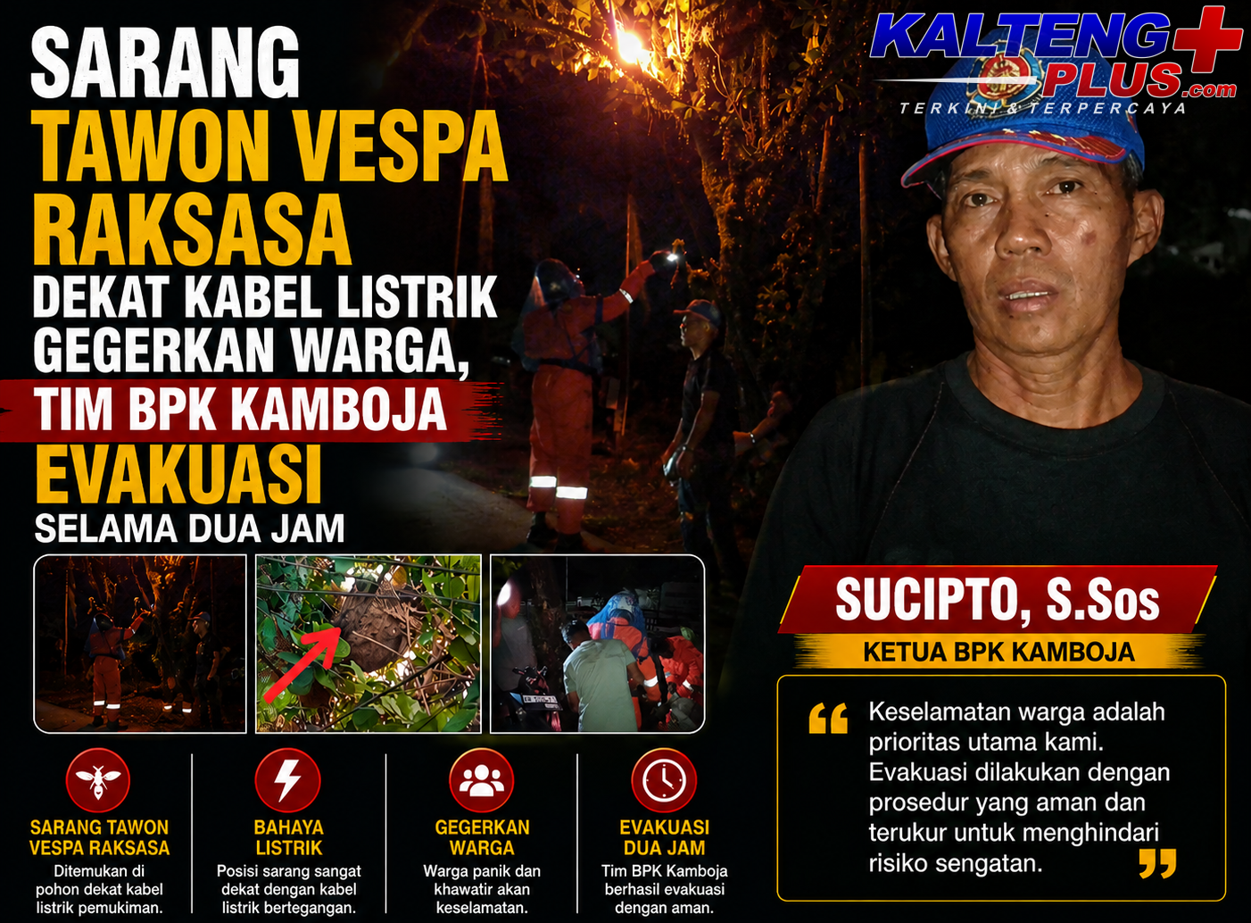 Sarang Tawon Vespa Raksasa Dekat Kabel Listrik Gegerkan Warga Tim BPK Kamboja Evakuasi Selama Dua Jam