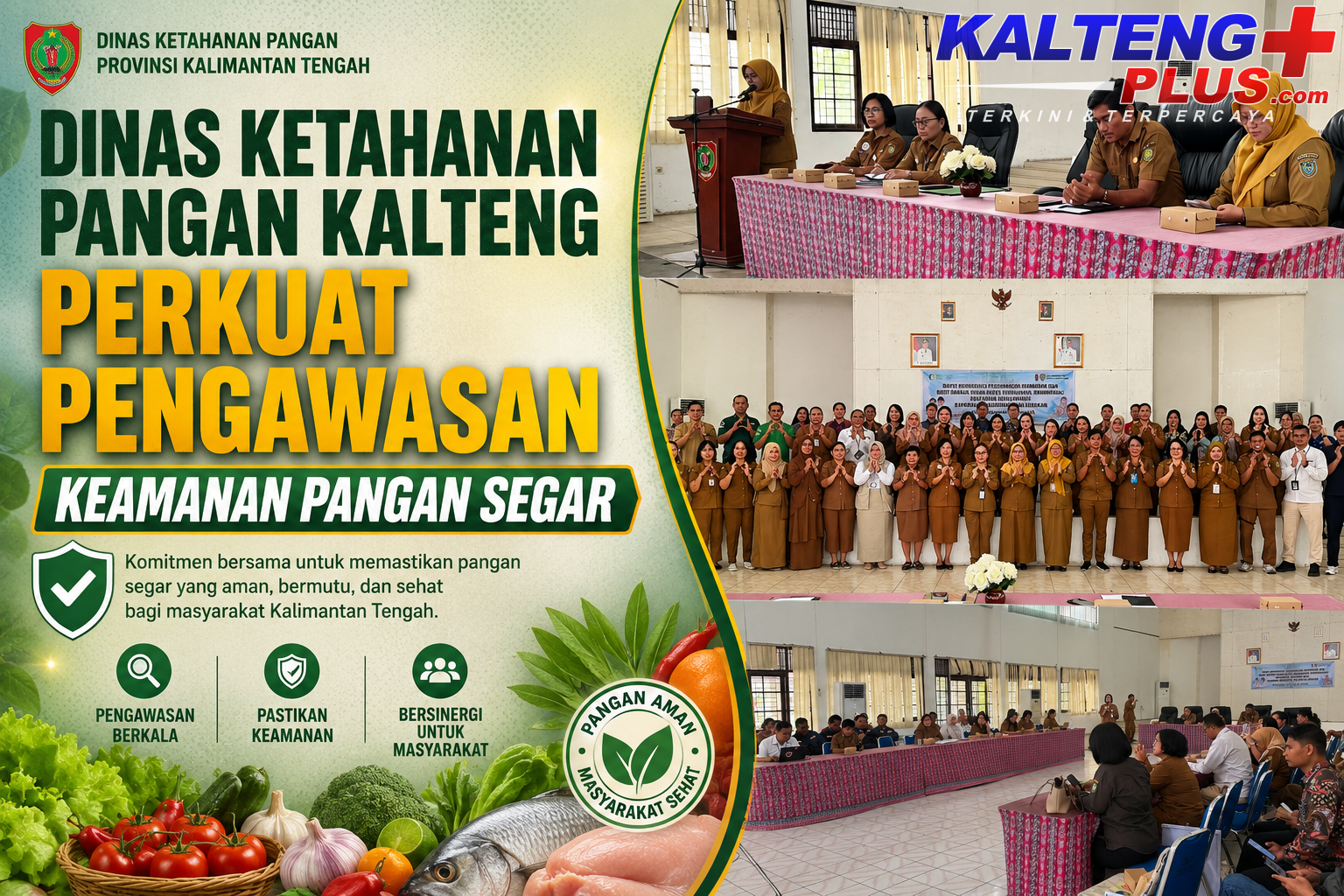 dinas ketahanan pangan kalteng perkuat pengawasan keamanan dan mutu pangan segar